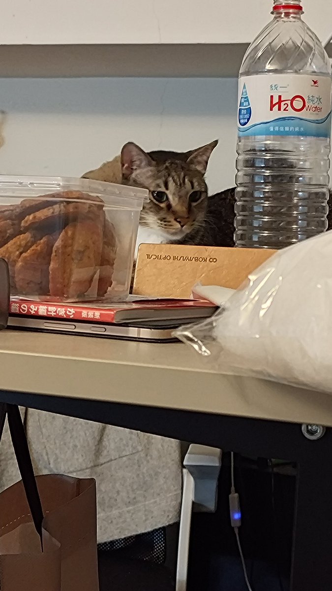 牙白Yabi tweet media