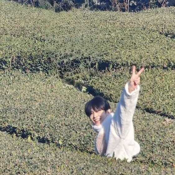 gail🧚🏻‍♀️| ALD1is8☆ tweet media