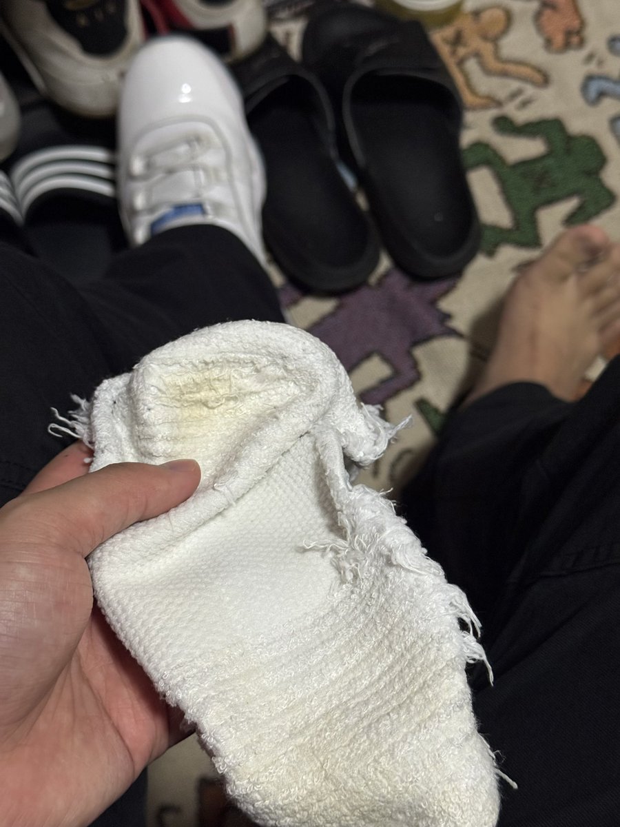 软白鲨 tweet media