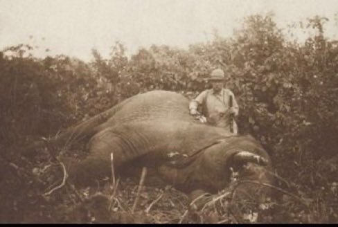 Donna Mugoh tweet media