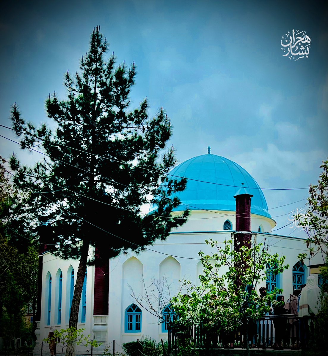 هجران بشار tweet media