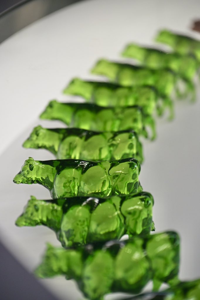 akaharaimorin's tweet image. 2025.7.11-12
関西万博にて撮影
NikonZ6Ⅲの初撮影だった
フルサイズカメラの描写力に感動した記憶

Z24-120mmF4Sのみで撮影

 #関西万博  #Nikon  #Z6III 
 #写真好きな人と繋がりがたい