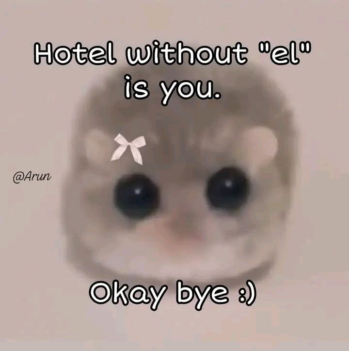 ♡ (@softheavens) on Twitter photo 