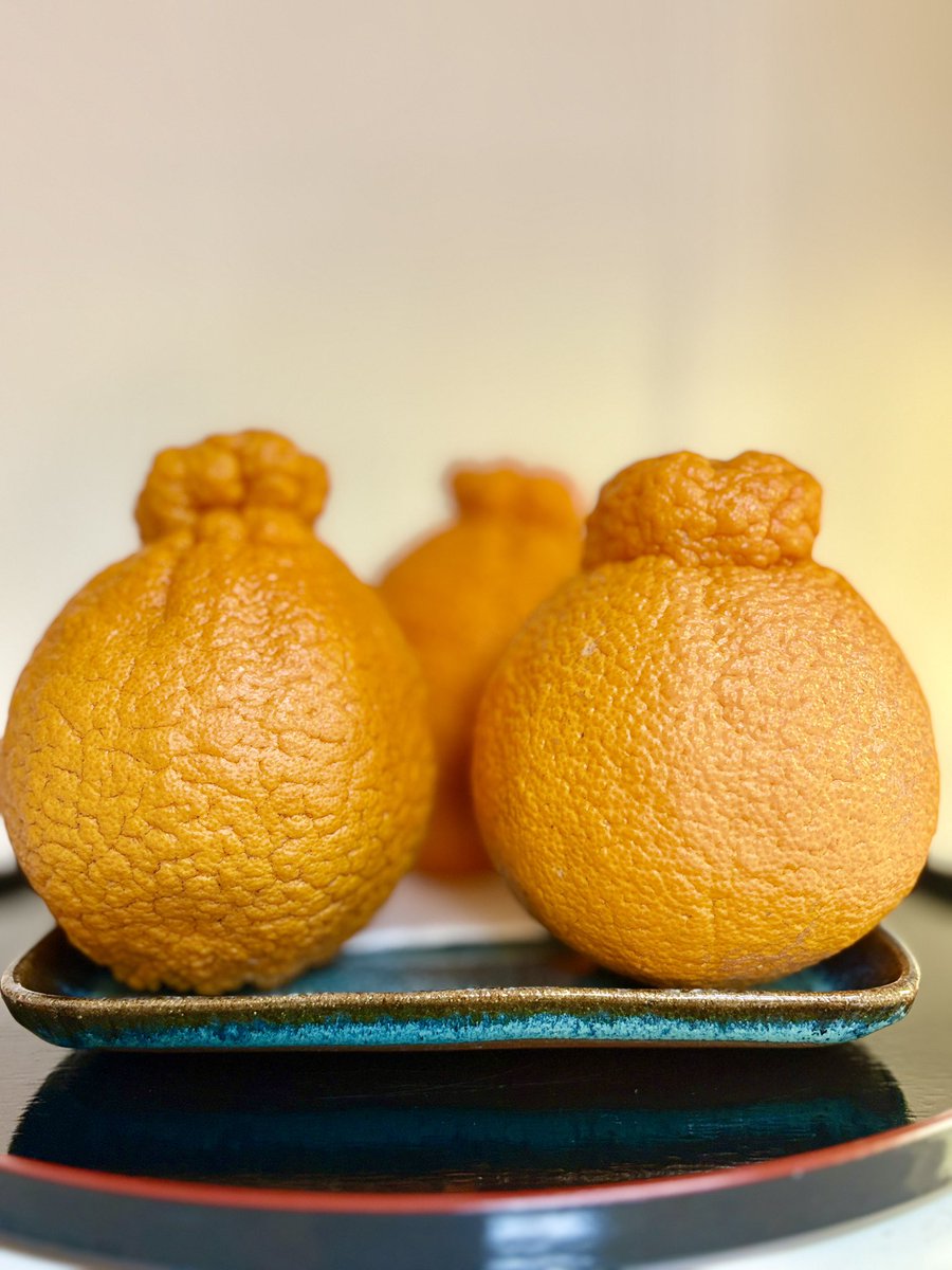 窪 洋一 tweet media