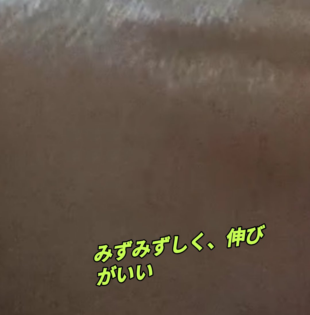 risa_kkps's tweet photo. モニターステーション経由でSukuusのAZ20セラムをレビュー！
アゼライン酸20％なのに優しい使い心地。朝晩の使用で頬やTゾーンのざらつきが和らぎふっくら滑らかに✨無香料＆ベタつかず、毛穴やくすみケアのお守りコスメです😊

#モニターステーション #PR #アゼライン酸 #毛穴 #皮脂ケア https://t.co/fWcOLrH82i
