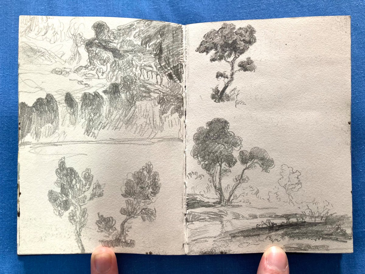 Matthew the Stoat tweet media