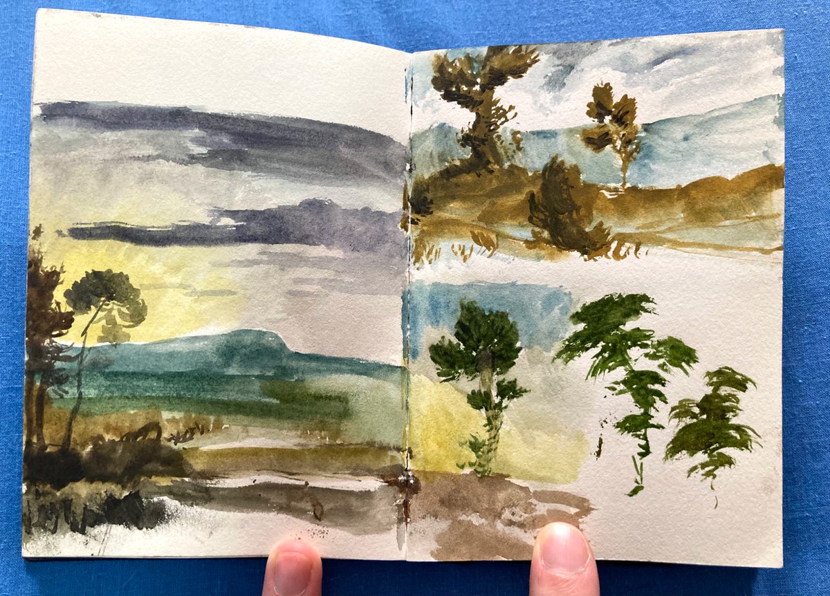 Matthew the Stoat tweet media