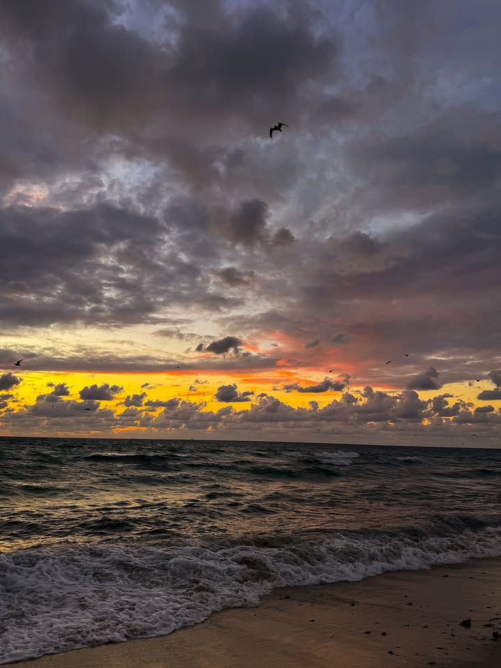 م (@amiiraayman) on Twitter photo 