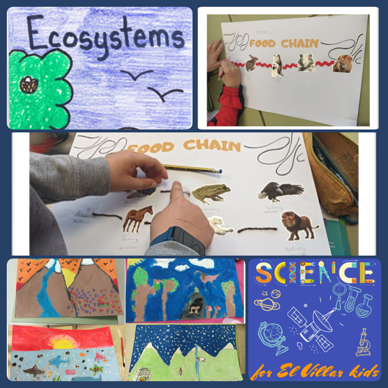 ColeNSVillar's tweet photo. Science for El Villar kids 🔬🔭🧪🗺️
Children in 3rd grade learnt about ecosystems.
https://t.co/pDbJNchS0Y
#bilingüescyl #somosdeidiomas #naturalscience #ecosystems https://t.co/sYuN0sLzdG