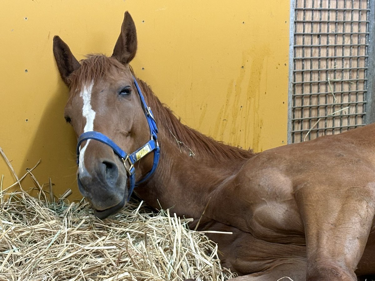 LakeVillaFarm tweet media