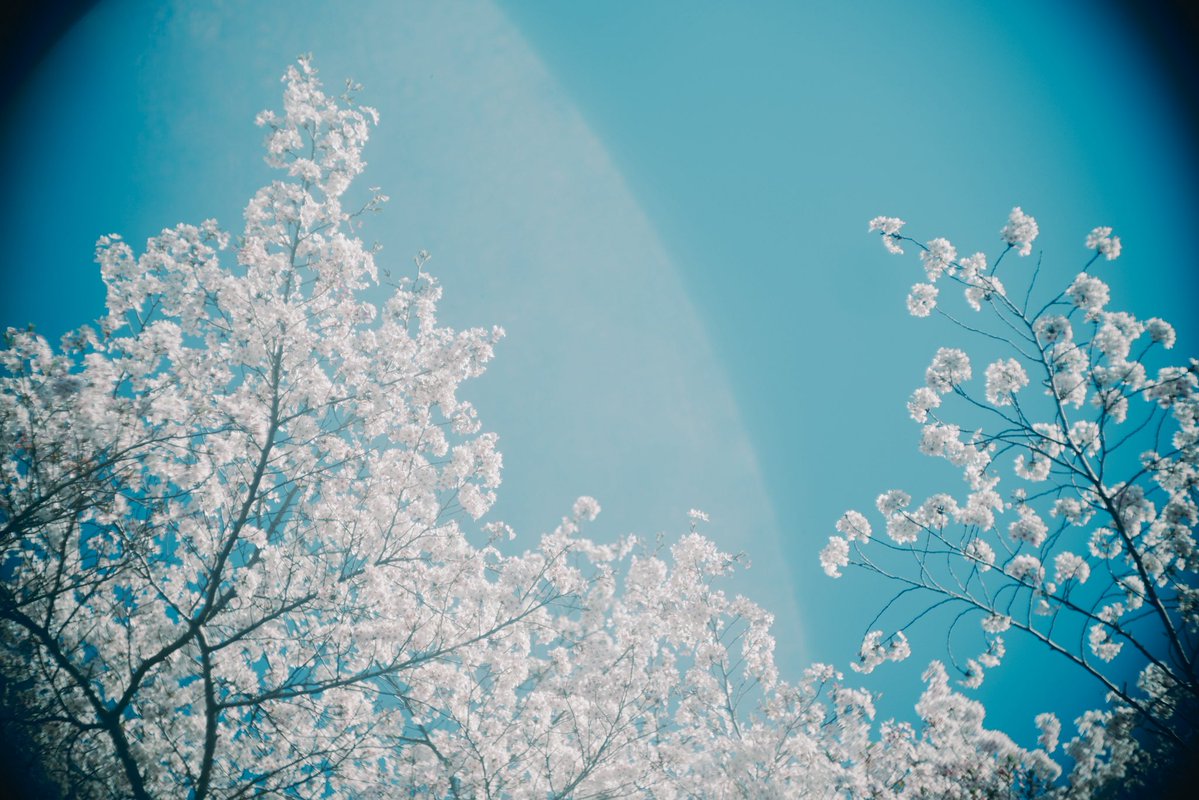 未 空 │ ᴍ ɪ ᴋ ᴜ ☁️ 個展6/12-14 tweet media