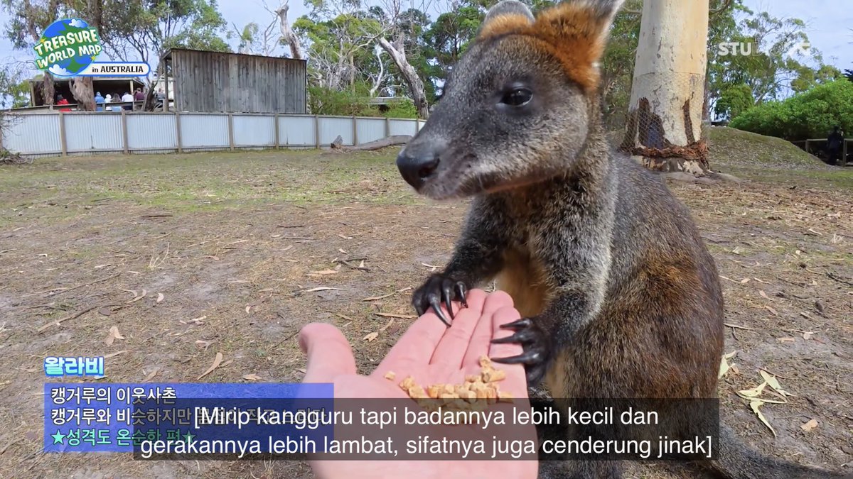 lula & ruto 🧁⭐️🧃 tweet media