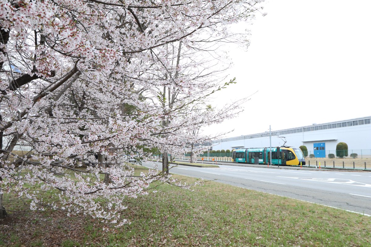 【公式】宇都宮ライトレール(株) tweet media