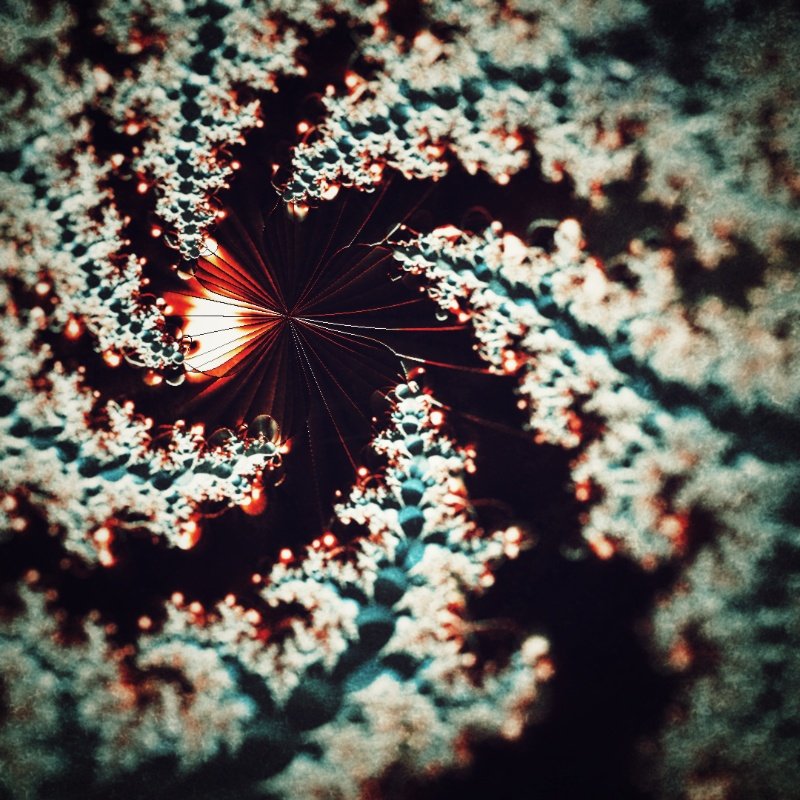 grainie_'s tweet image. #fractal