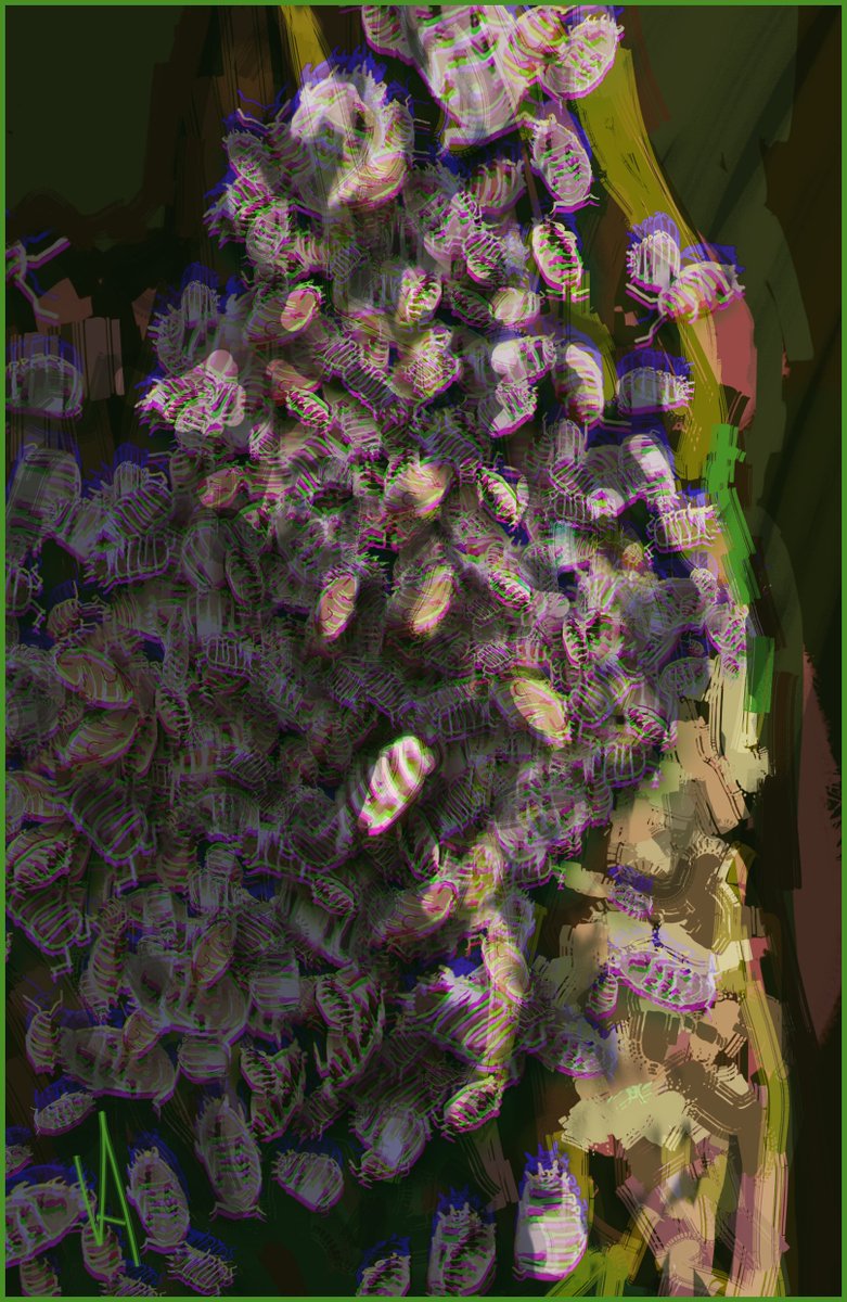 🇺🇦Пан Вільха🪲 tweet media