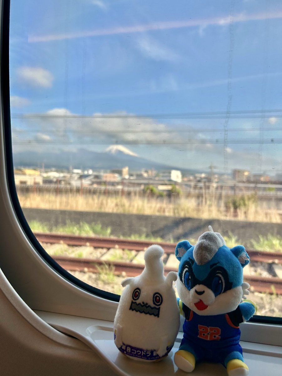 野比さん（ヒデ） tweet media