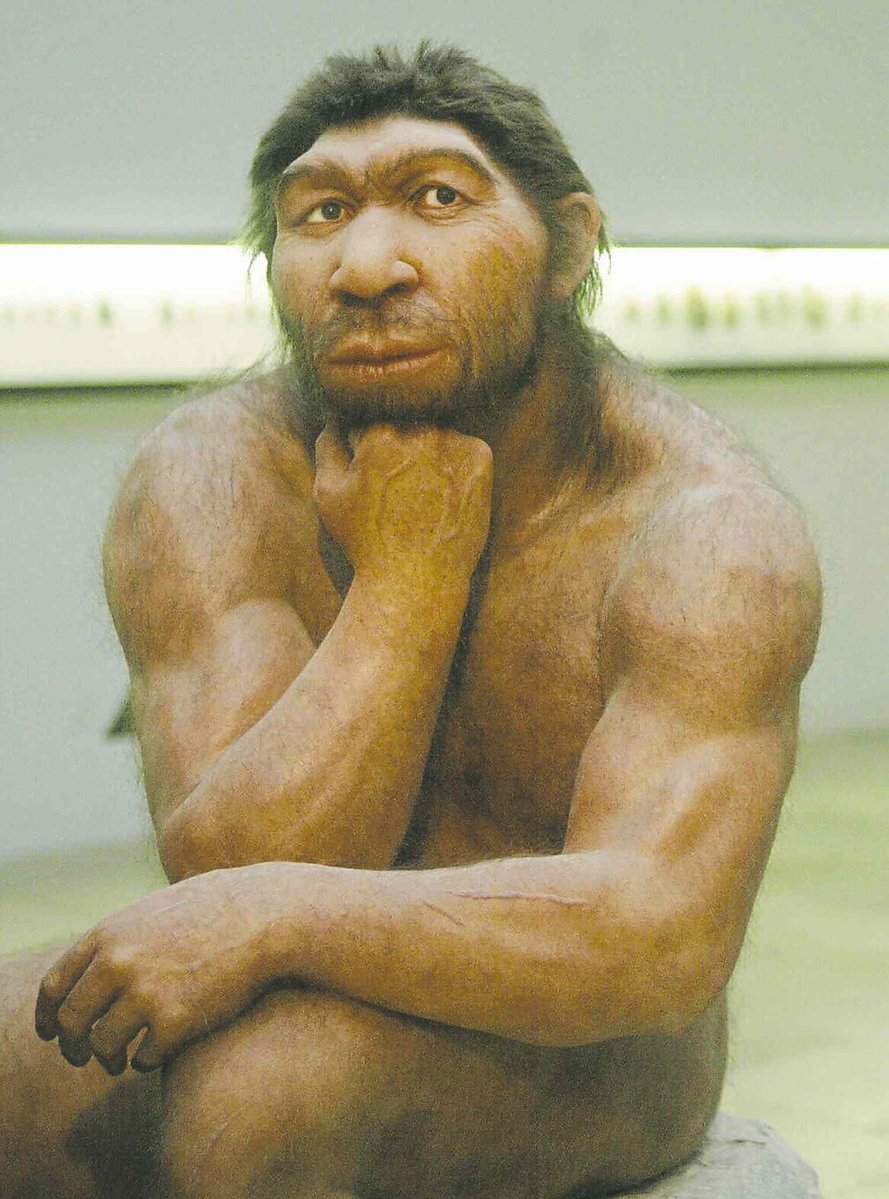 Sarcastic Sharma tweet media