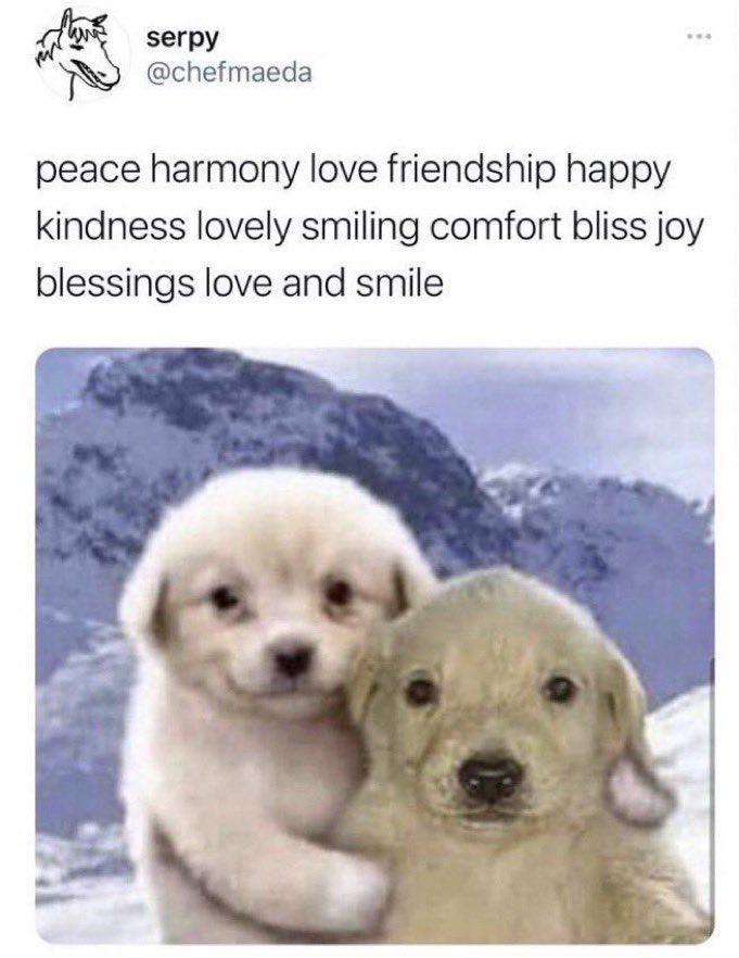 myung joestar yoncé 👾 tweet media