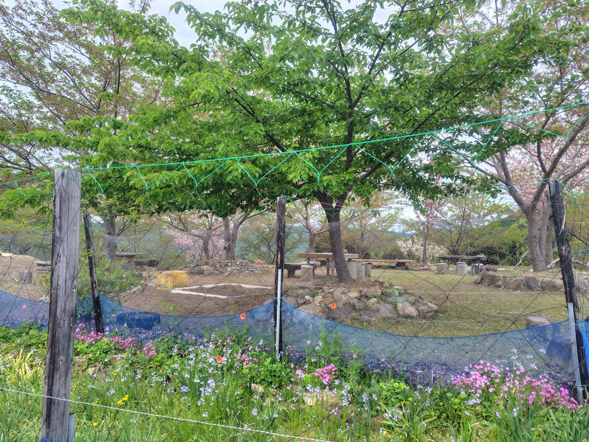 #みはらし峠
故郷 和歌山県印南町の「みはらし峠」に立ち寄りました✨
ここは私が生まれ育った樮川（ほくそがわ）にある峠で、有志の方々がお花を植え、美しくお手入れされています♪
フクロウのチェーンソーアートが目印♡
この手作りのQRコード、スキャンすると、私の楽曲『みはらし峠』が聴けます♪