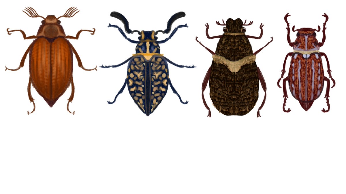 🇺🇦Пан Вільха🪲 tweet media