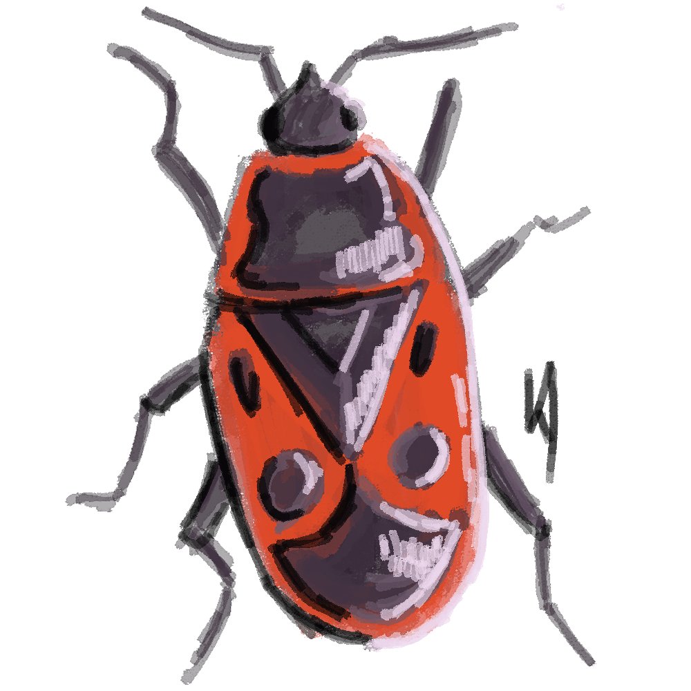 🇺🇦Пан Вільха🪲 tweet media