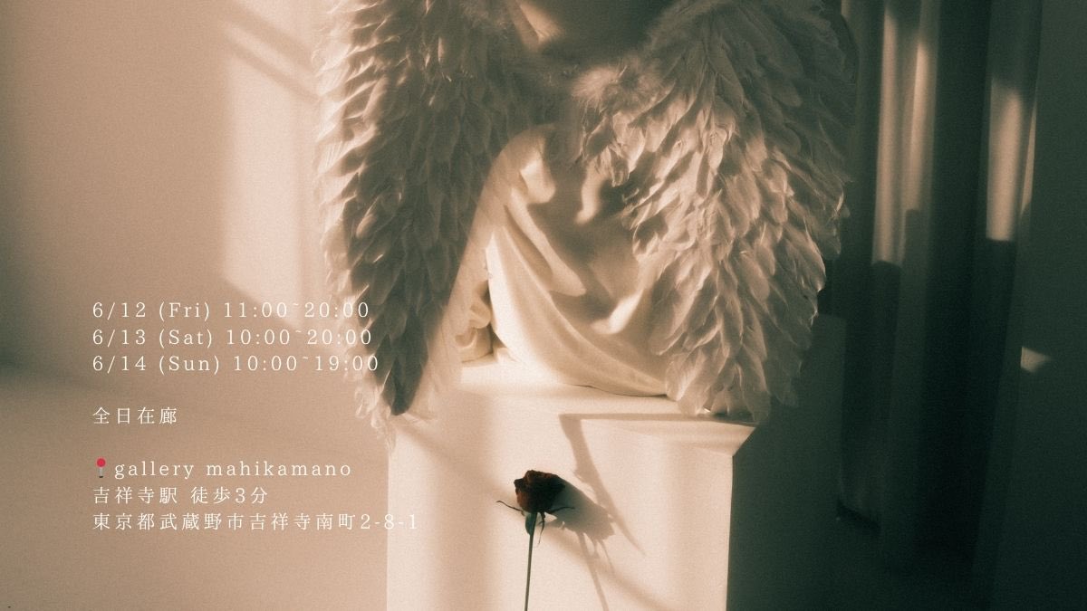 ︎︎ぽん📸 tweet media