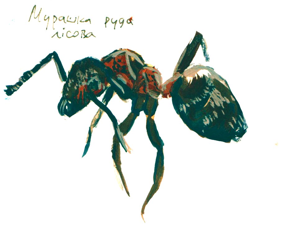 🇺🇦Пан Вільха🪲 tweet media