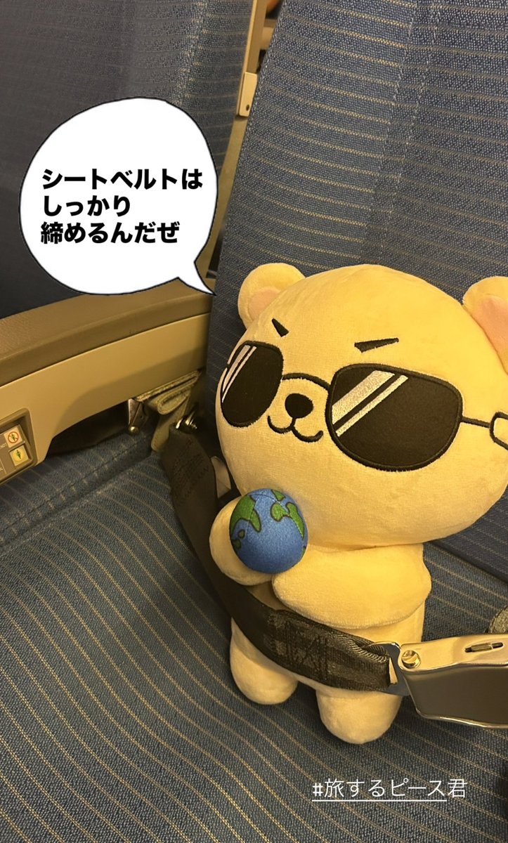 🐻はじめての飛行機に乗ったんだぜ〜✨

#ぬい活
#ぬい撮り