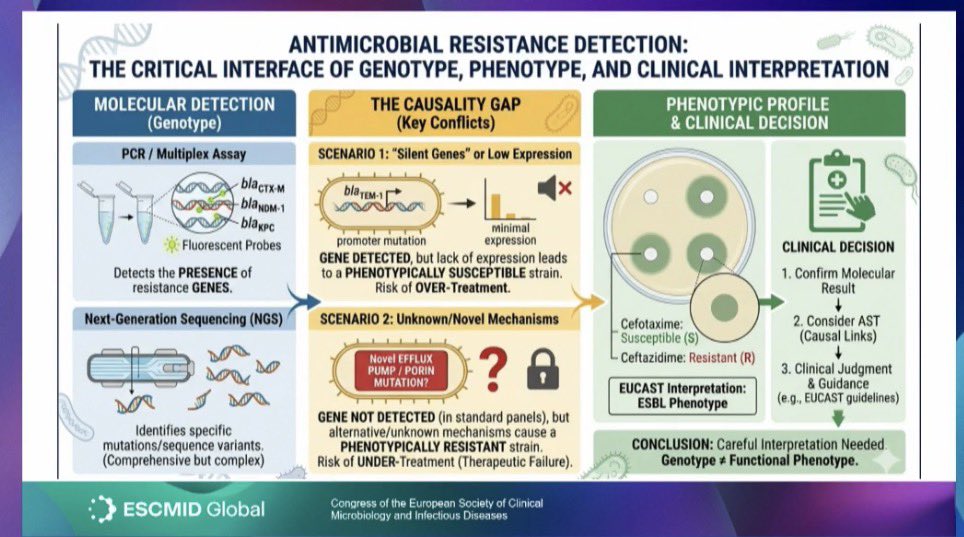 infectotuits's tweet photo. These slides makes a great conceptual insight from the session “How best to detect ESBL and carbapenemase producers”
#ESCMIDGLOBAL2026 https://t.co/Rkq2XJbcmb