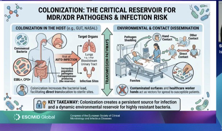 infectotuits's tweet photo. These slides makes a great conceptual insight from the session “How best to detect ESBL and carbapenemase producers”
#ESCMIDGLOBAL2026 https://t.co/Rkq2XJbcmb