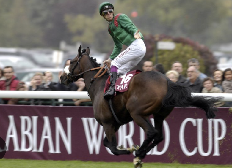 𝑭𝒊𝒏 𝑷𝒐𝒘𝒓𝒊𝒆 tweet media