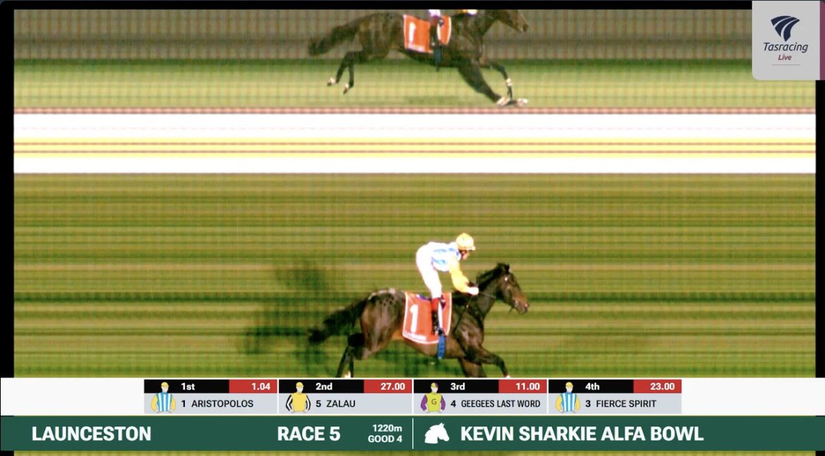 Up you go Rose 🌹 Aristopolos you ripper 🩵🤍💛 <a href="/Ericabyrne_1/">Erica Byrne burke</a>