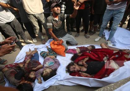 د. فايز أبو شمالة tweet media