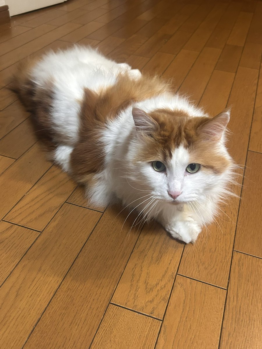 今日はどんな一日だったのかな〜☺︎