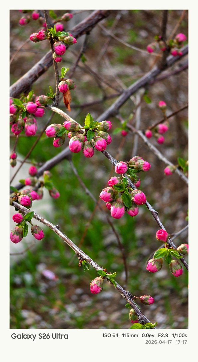 Ice Universe tweet media