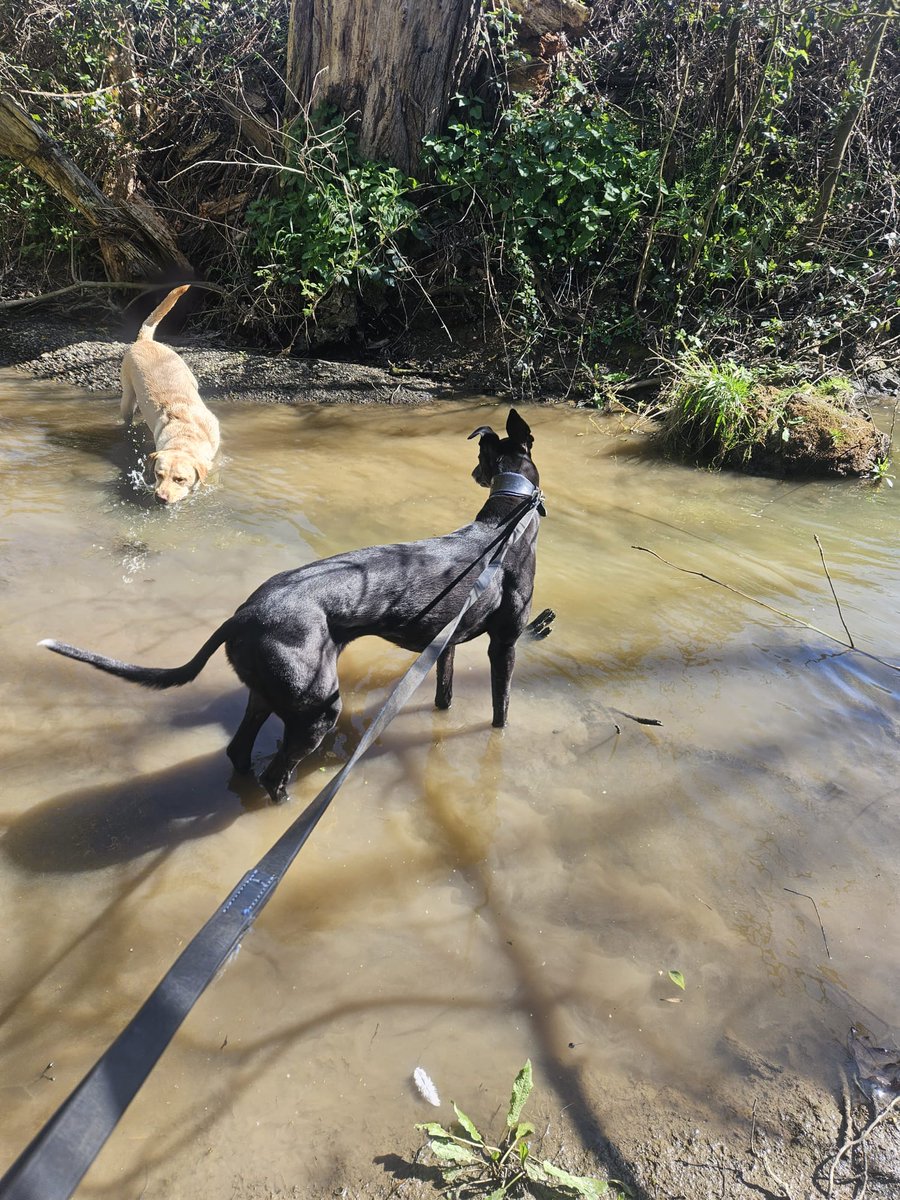 alan garth tweet media