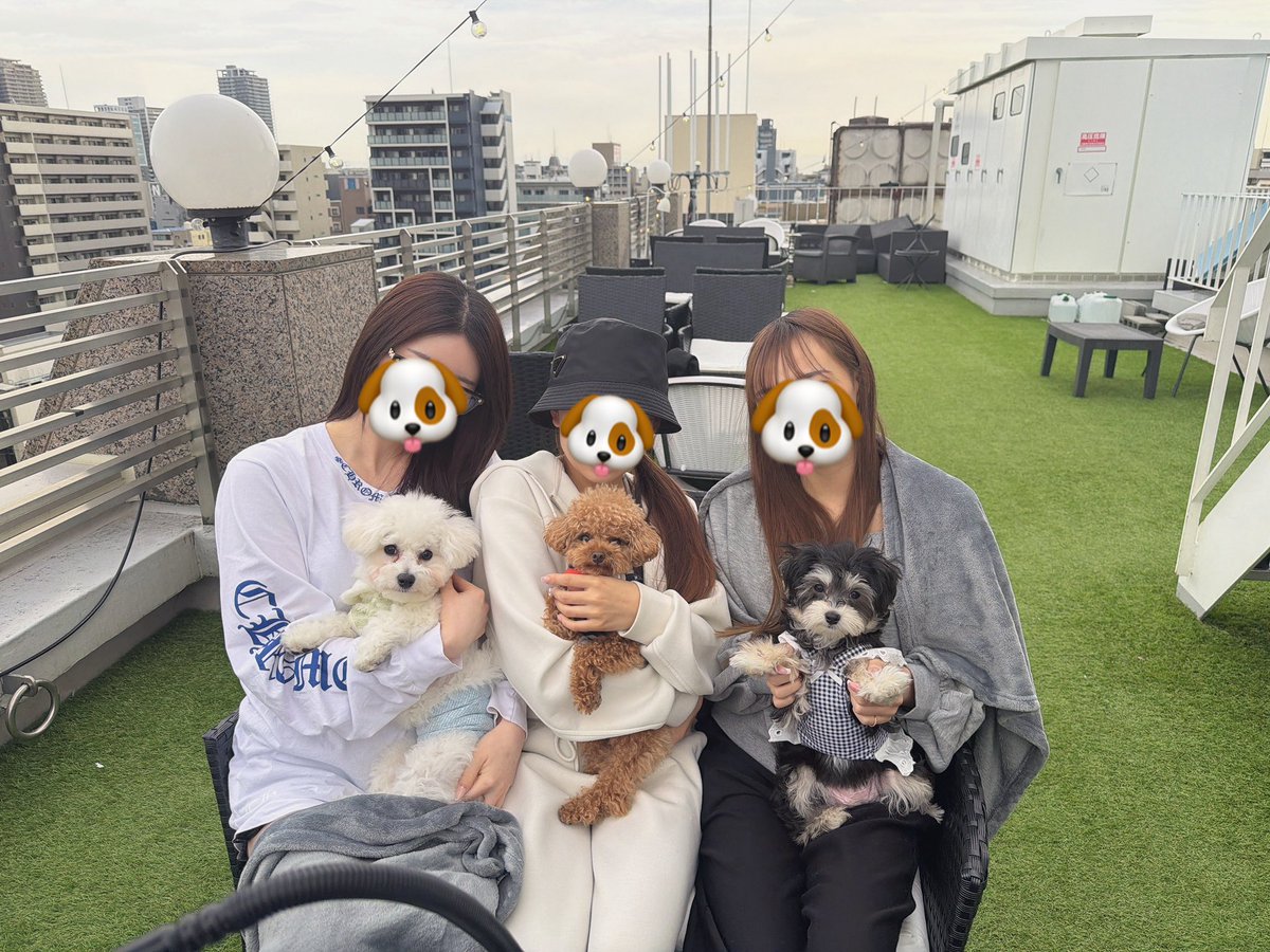 ぽちゃ tweet media