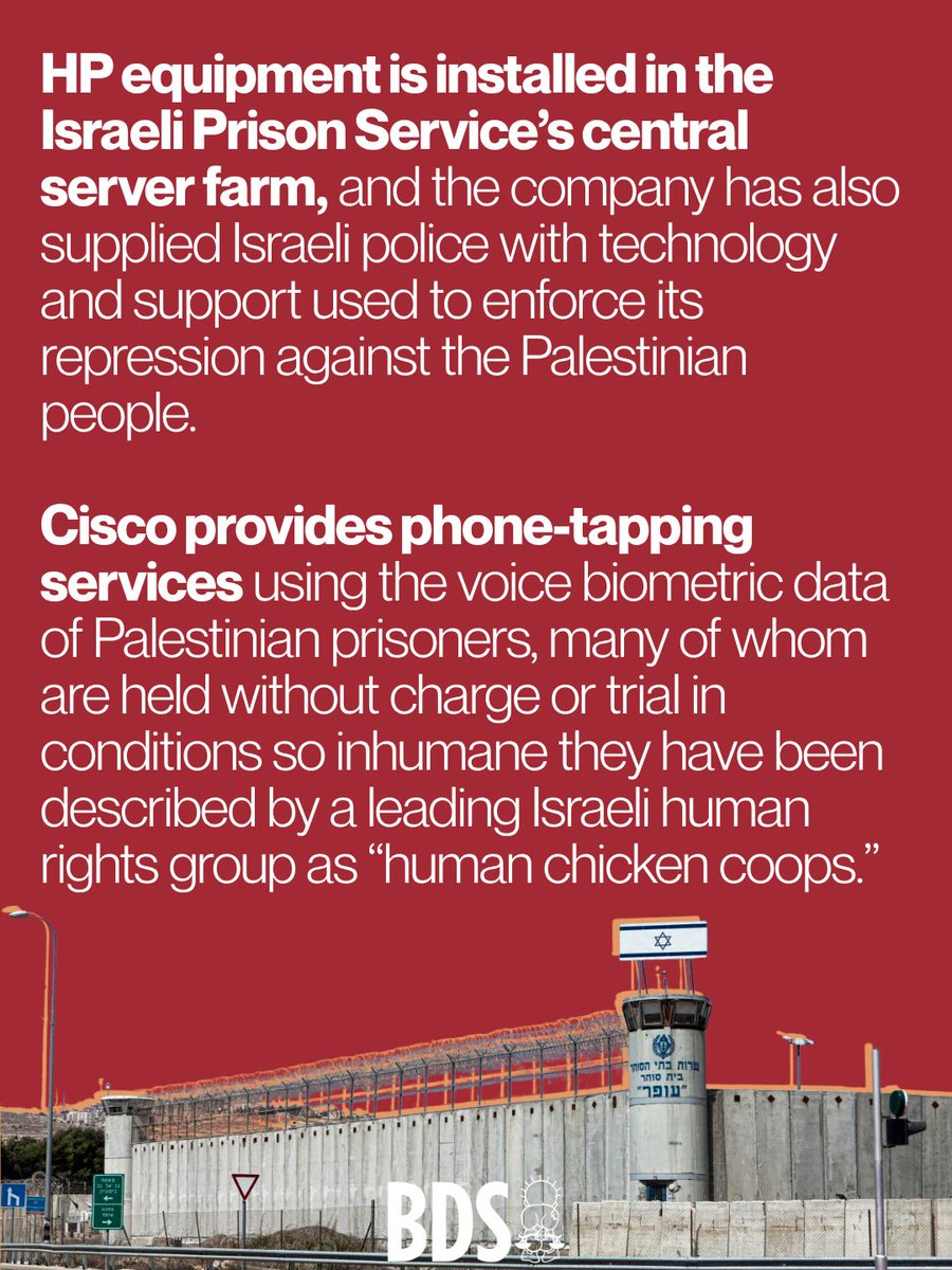BDS movement tweet media