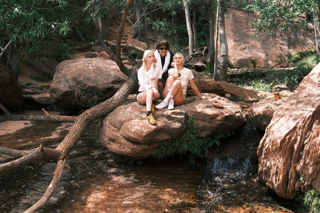 hourly anya taylor-joy tweet media