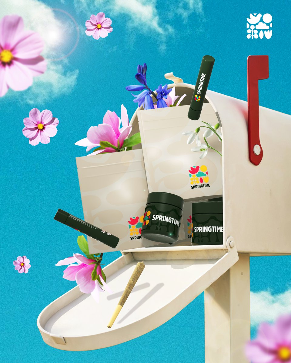 Springtime Co. tweet media