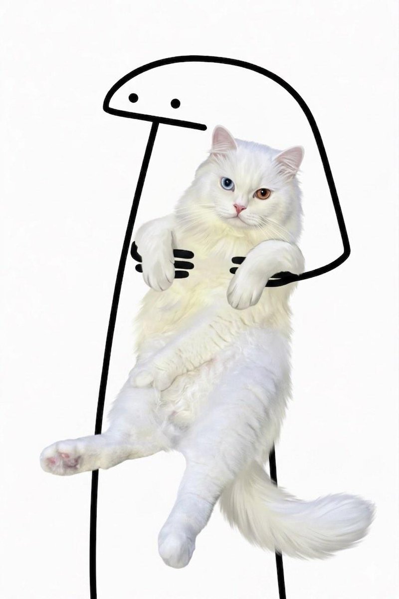 aril piterpen tweet media