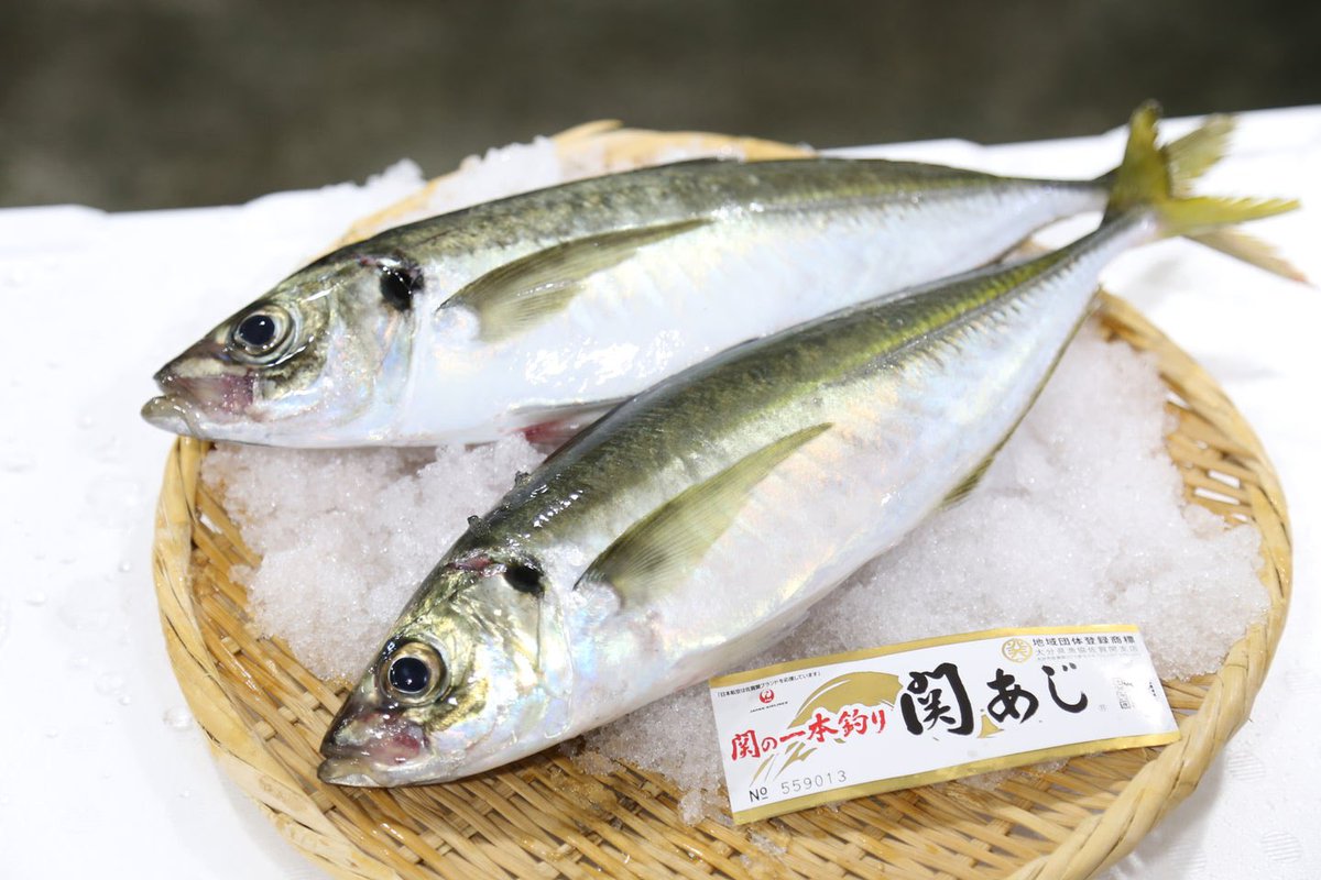 大分県東京事務所 tweet media