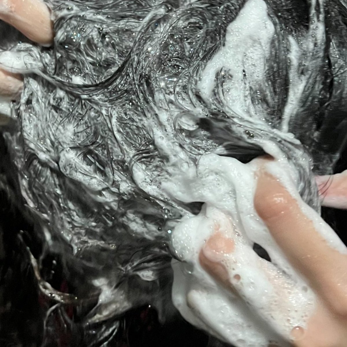 ꔛออซอ🪐ˎˊ˗ tweet media