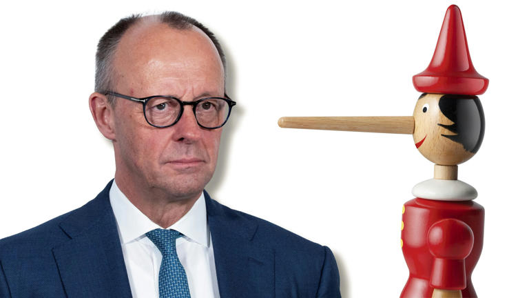 MyHamster🐹🐹🐹 tweet media