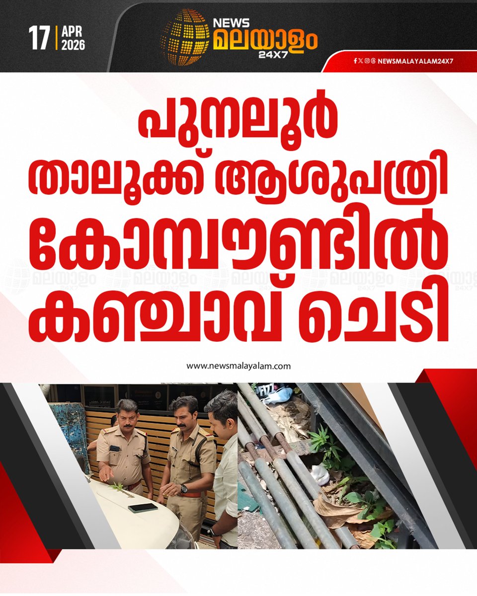 newsmalayalamtv's tweet photo. പുനലൂർ താലൂക്ക് ആശുപത്രിയുടെ ഫാർമസിക്ക് സമീപമാണ് കഞ്ചാവ് ചെടി കണ്ടെത്തിയത്; എക്സൈസ് പരിശോധനയിൽ കണ്ടെത്തിയത് ഏകദേശം ഒന്നരമാസത്തോളം പ്രായമുള്ള ചെടി
#Cannabisplantseized #keralaexcisedepartment #kollam #punalur #newsmalayalamtv #newsmalayalam24x7 https://t.co/8xaMSYUZ6i