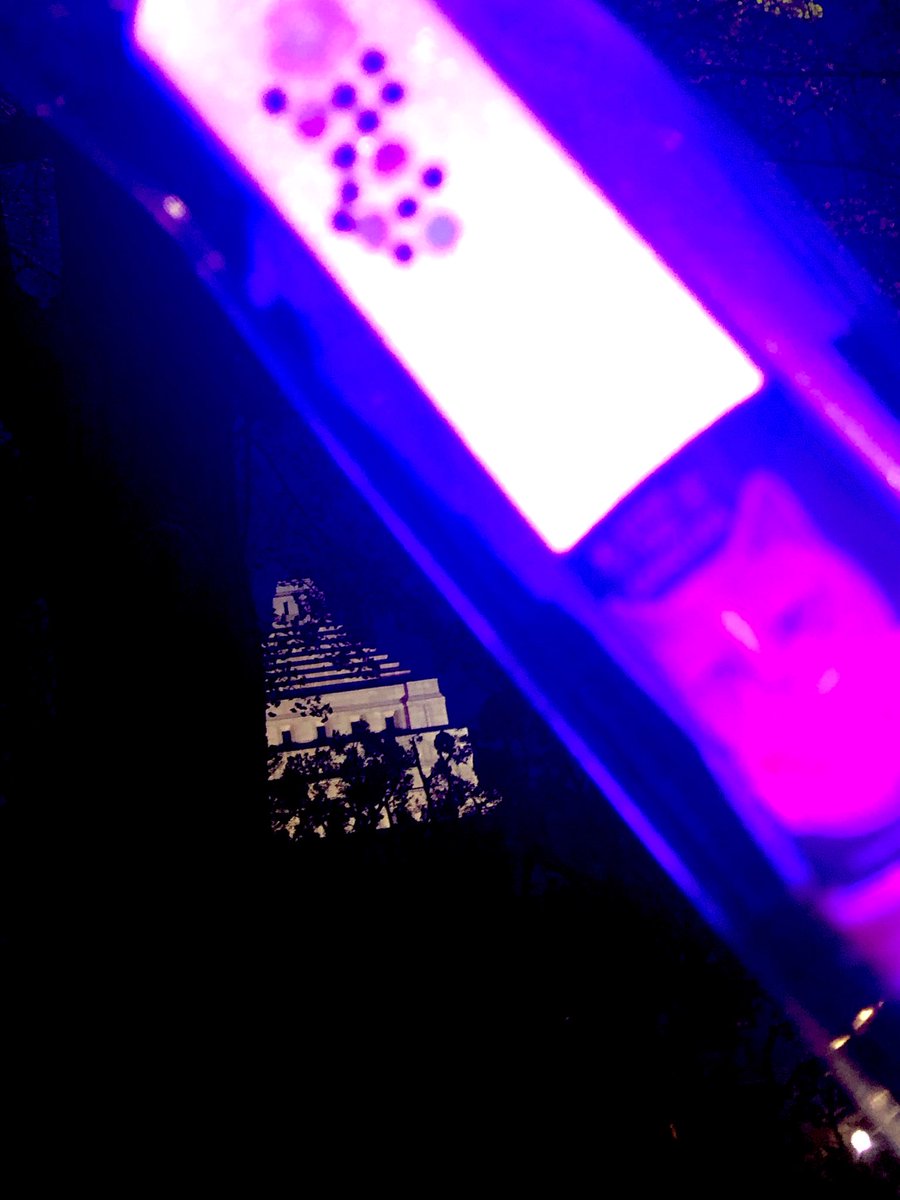 菊イタダキ tweet media