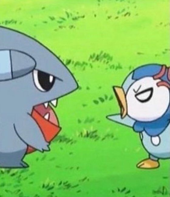 Pokémon Daily tweet media