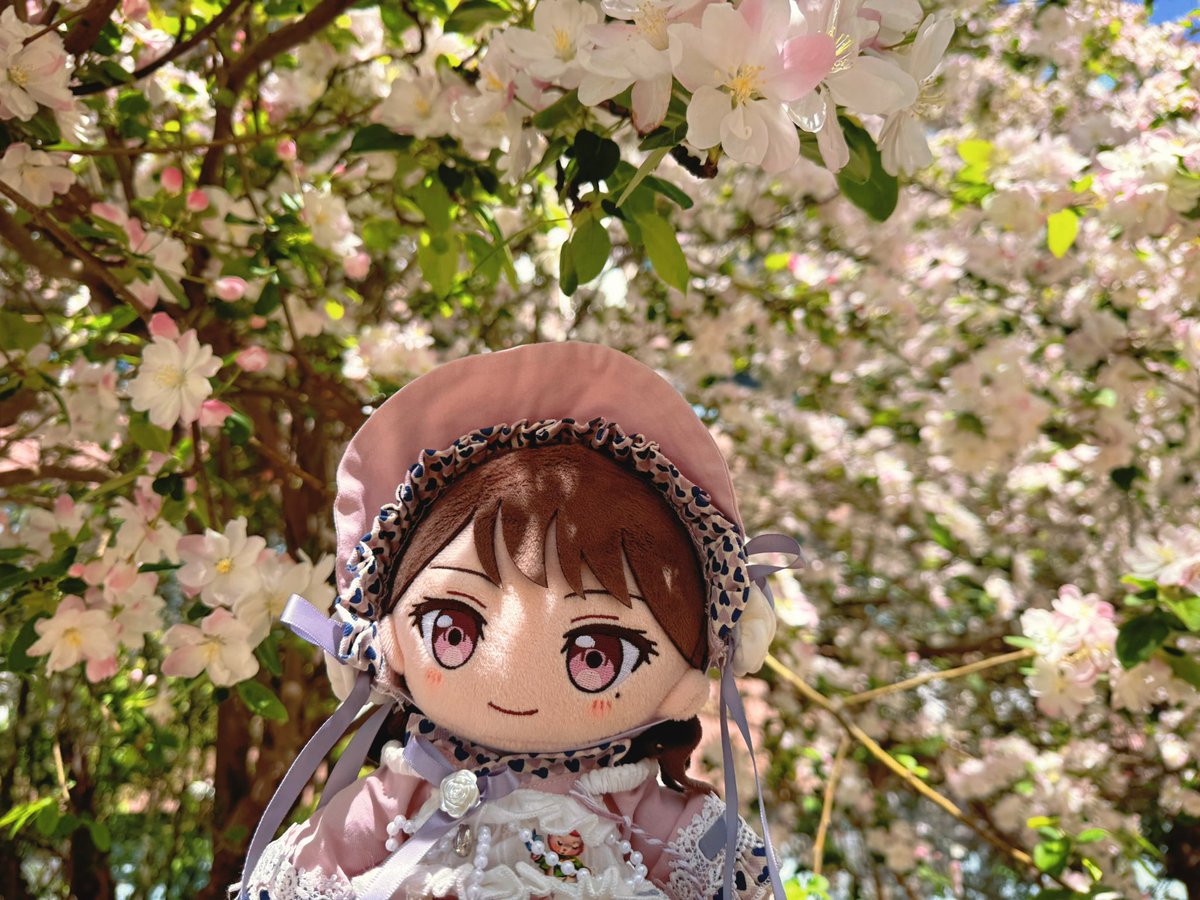 ATsubomi1's tweet photo. 🌹 https://t.co/Co0IgI7s2f
