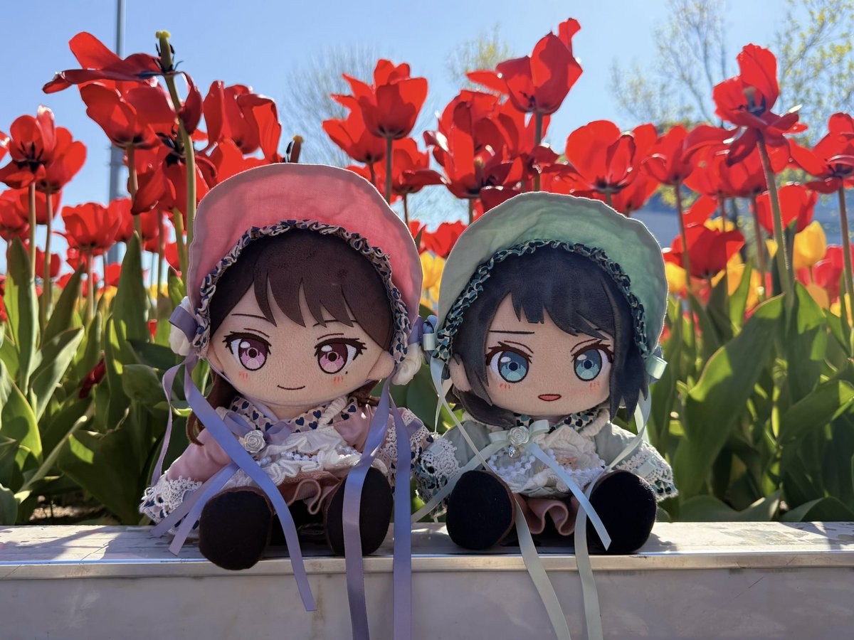 ATsubomi1's tweet photo. 🌹 https://t.co/Co0IgI7s2f