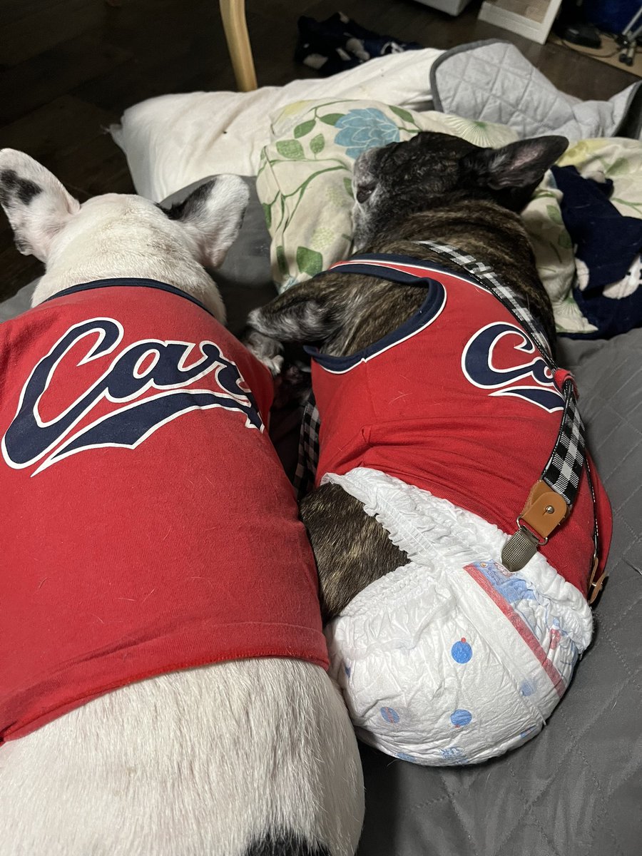 右投げ右打ち tweet media